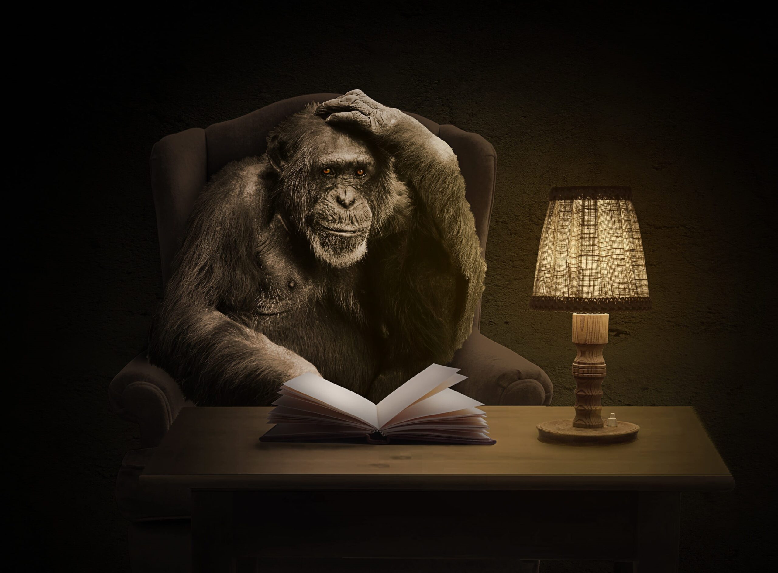 When Friends Find Grammar “Errors” in Your Novel